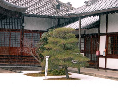 Picture from Japan
